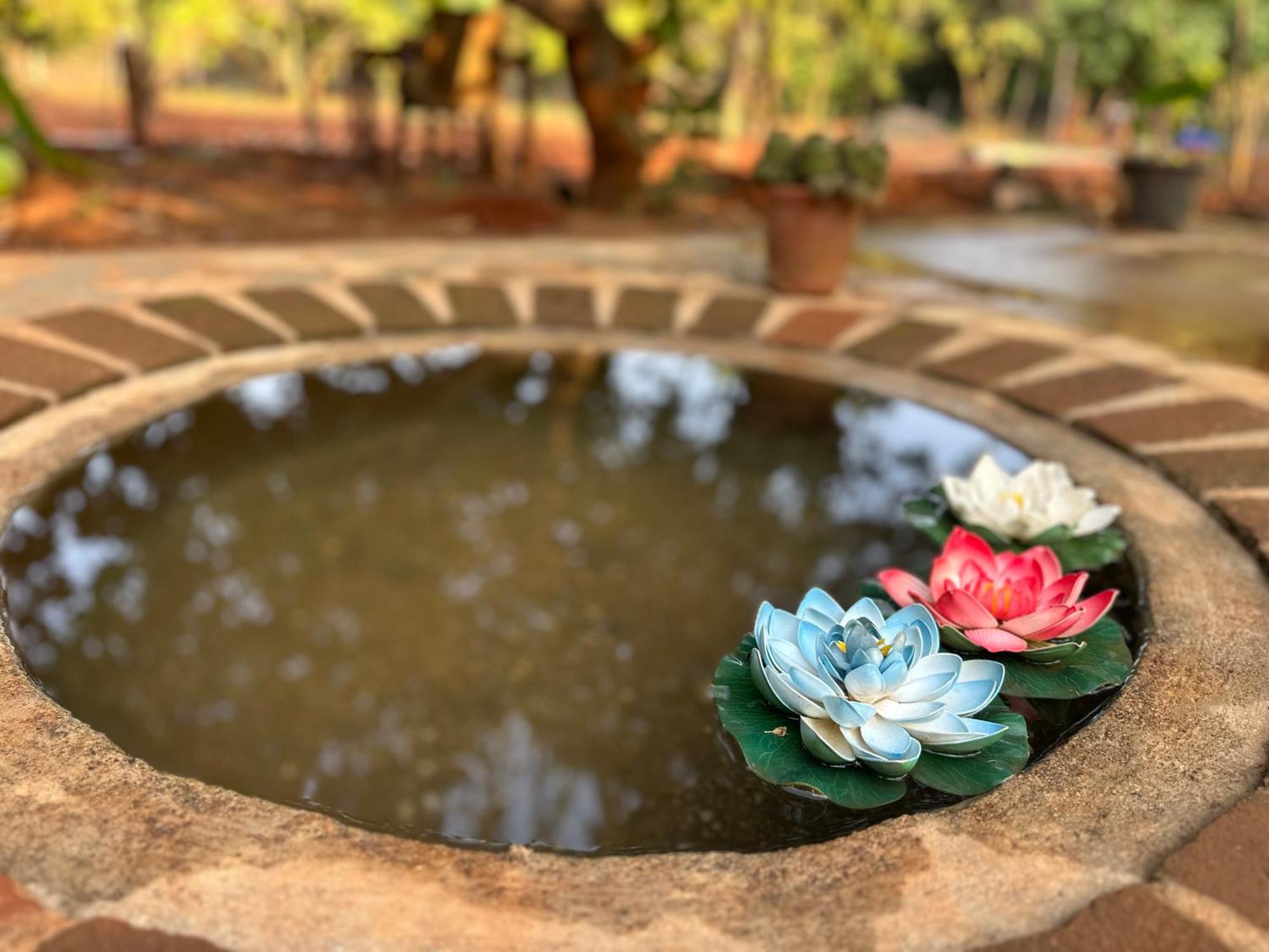 Lotus Garden Guest House Ауровиль Экстерьер фото