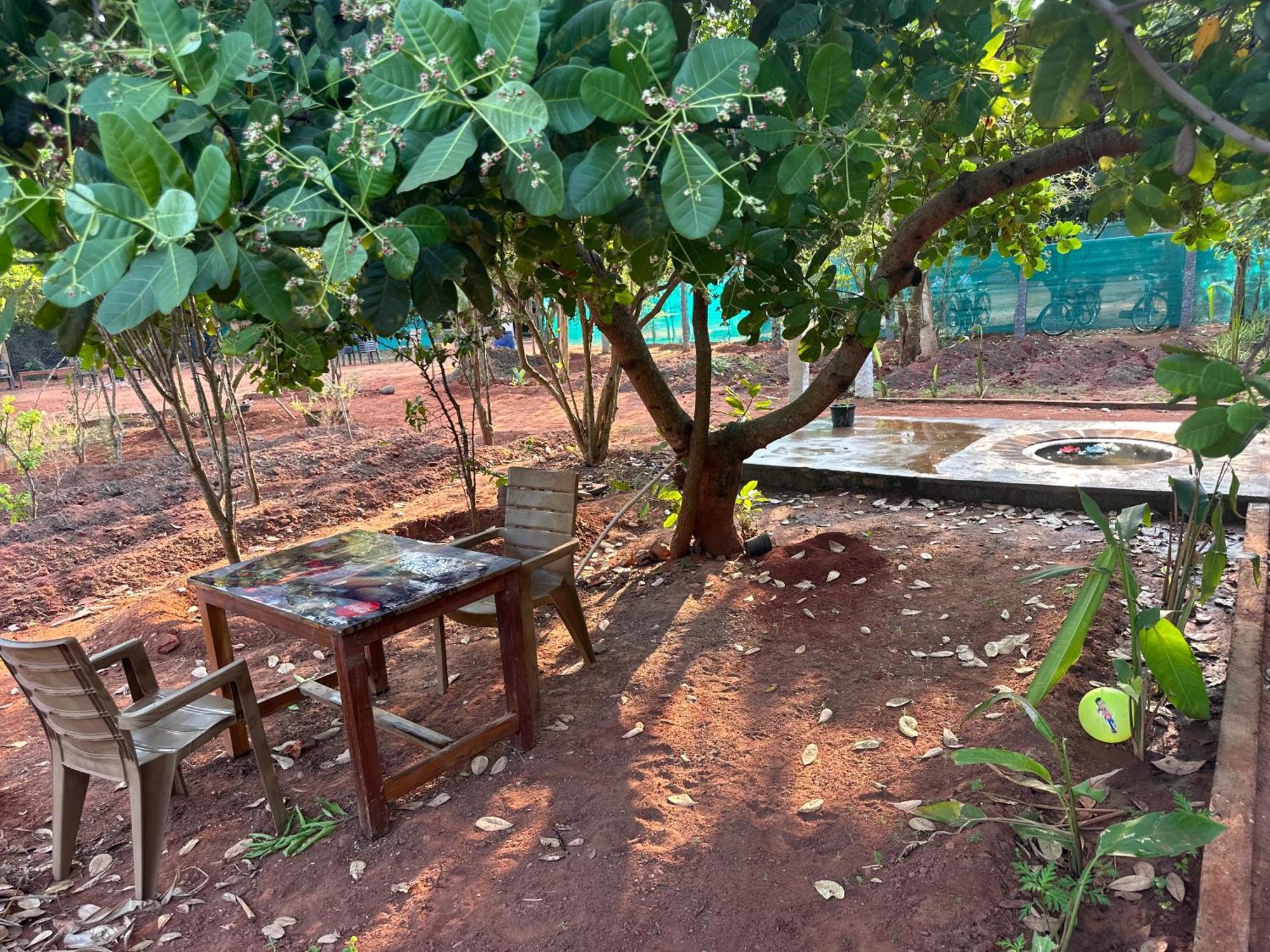 Lotus Garden Guest House Ауровиль Экстерьер фото